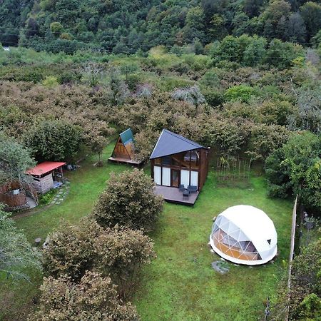Dumbo Eco Camp Hotel Ozurget'i Buitenkant foto