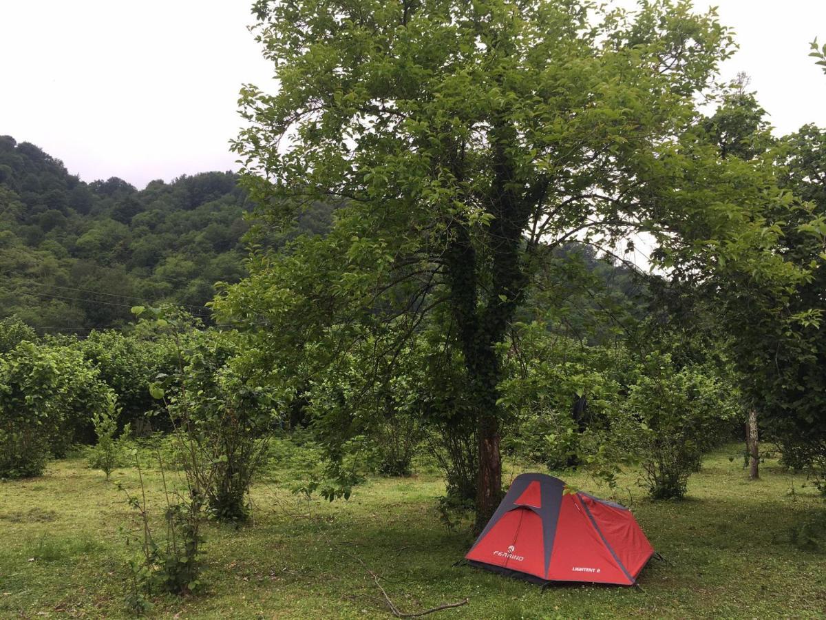 Dumbo Eco Camp Hotel Ozurget'i Buitenkant foto