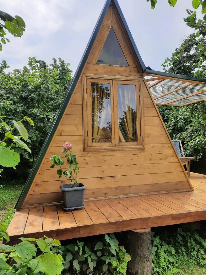 Dumbo Eco Camp Hotel Ozurget'i Buitenkant foto