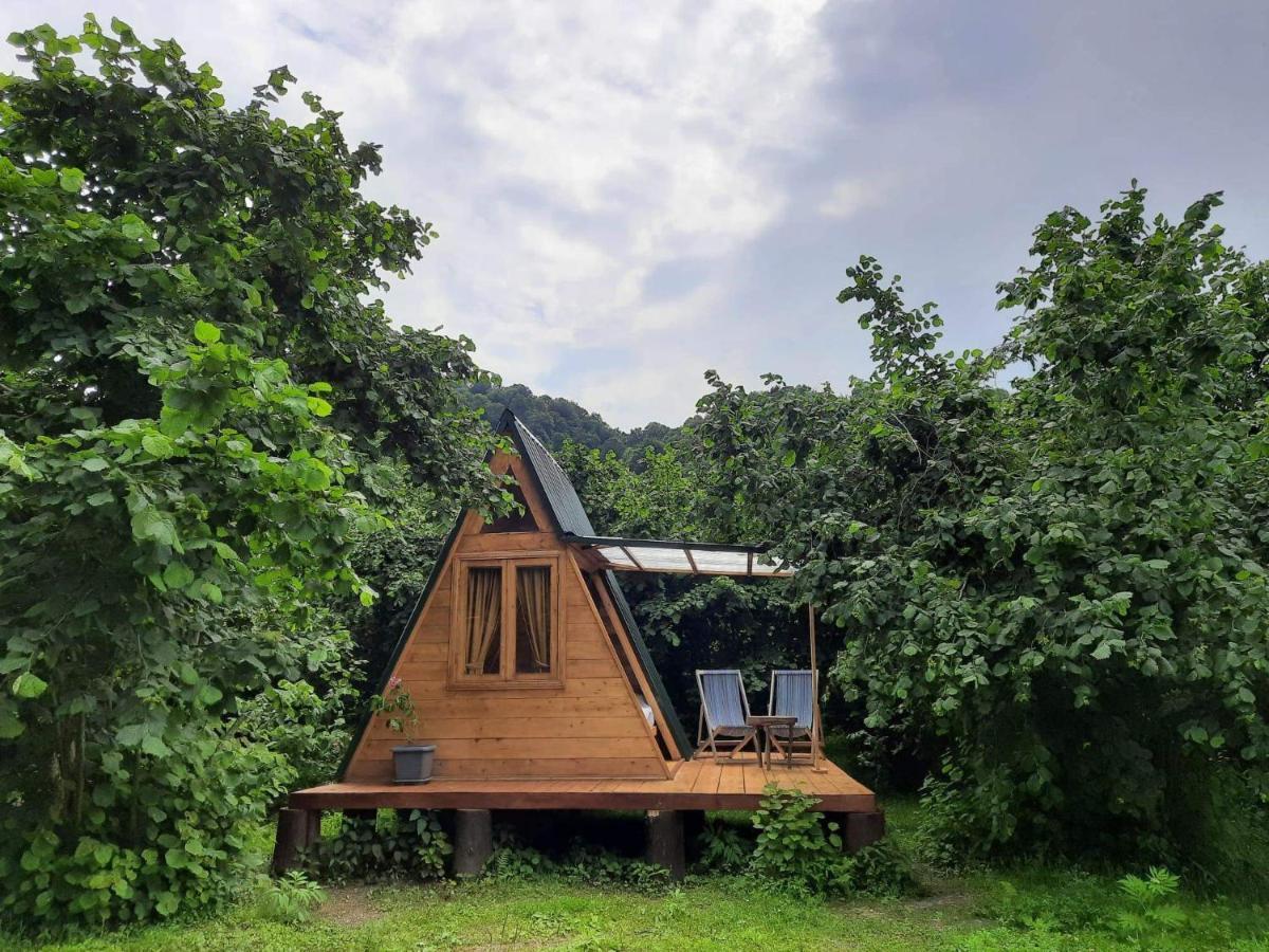 Dumbo Eco Camp Hotel Ozurget'i Buitenkant foto